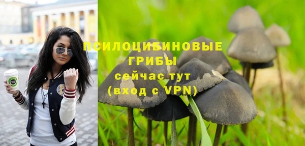 а пвп мука Богородицк