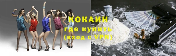 дмт Богданович