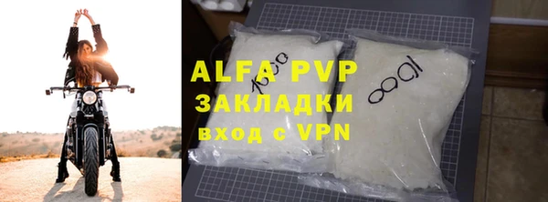 дмт Богданович