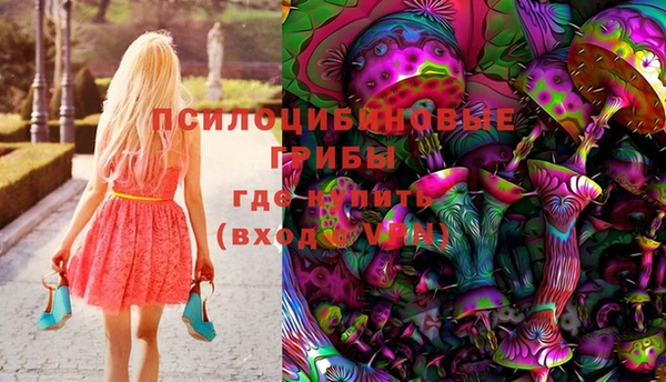 ECSTASY Богородск
