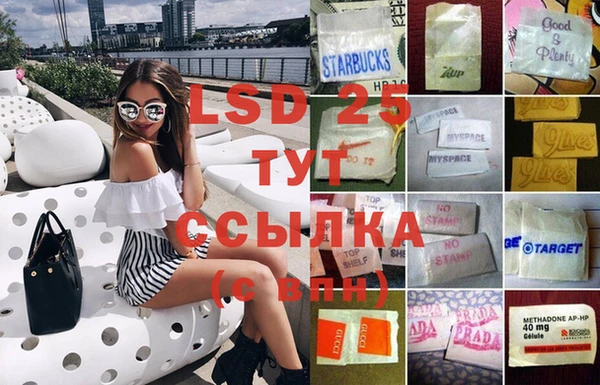 дмт Богданович