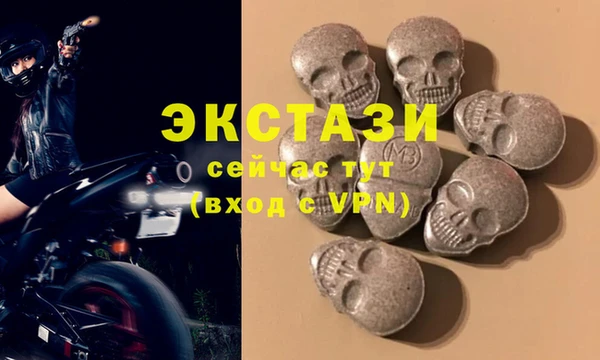 ECSTASY Богородск