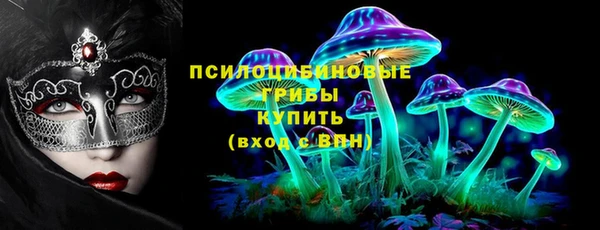 ECSTASY Богородск