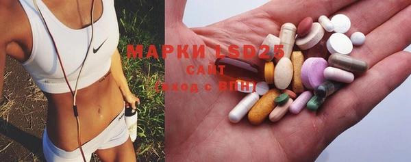 дмт Богданович