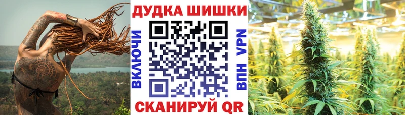 Шишки марихуана Amnesia  darknet как зайти  Онега  цены наркотик 
